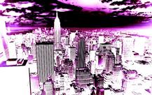 Purple New York